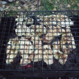 Индюшатина