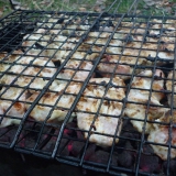 Индюшатина-2