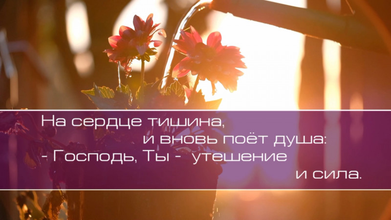 Христианское поклонение. Сборник №154